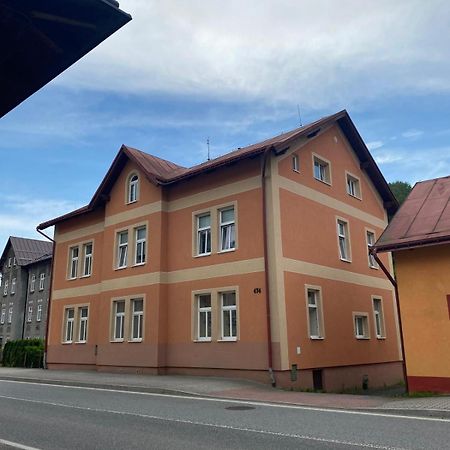 Horsky Apartman Desna - Jizerky Exterior foto